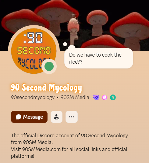 90SM discord profile screeshot