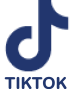 TikTok Logo